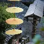 重磅：Ming阿森纳夺冠(2025曼联vs阿森纳集锦)|开元棋牌